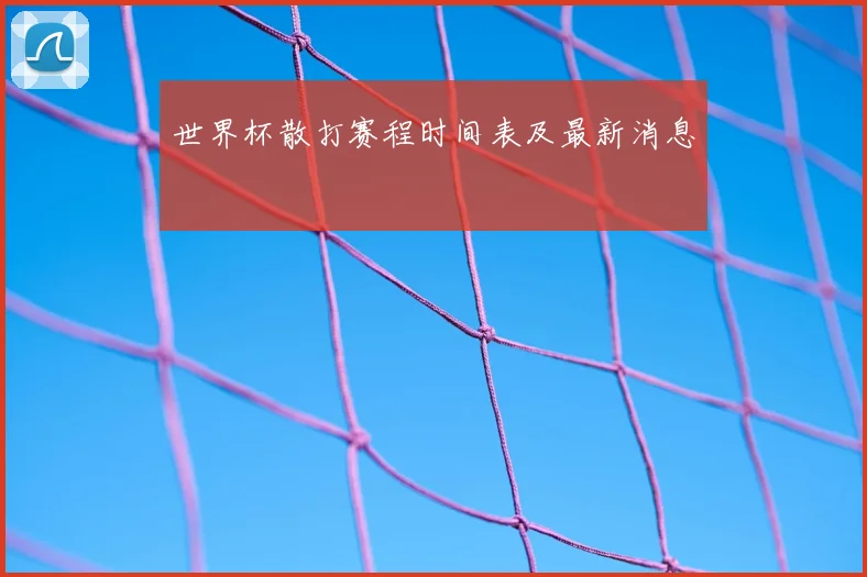 世界杯散打赛程时间表及最新消息